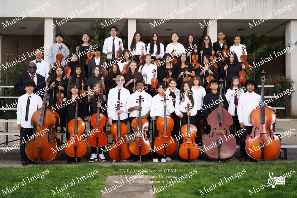 Musical Images